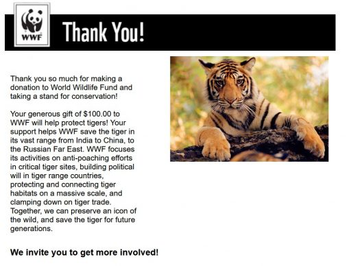 Kasasagi Fine Arts Supports World Wildlife Fund